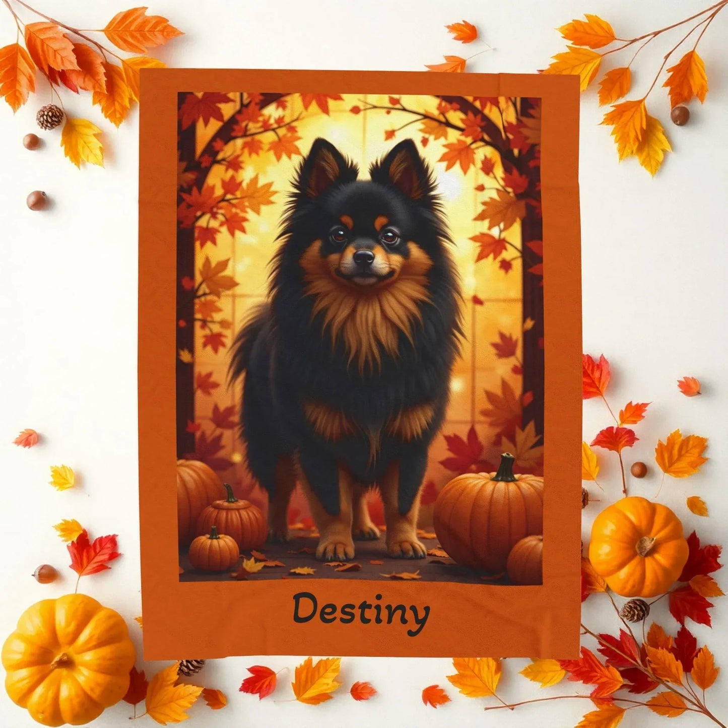 Shop our premium black tan pomeranian velveteen plush blanket from MySisterIsASurvivor.