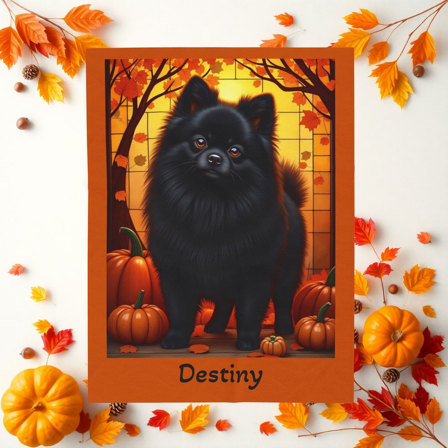 Pomeranian Black Coat Velveteen Plush Blanket, Cozy Dog Breed Throw Gift, Personalized