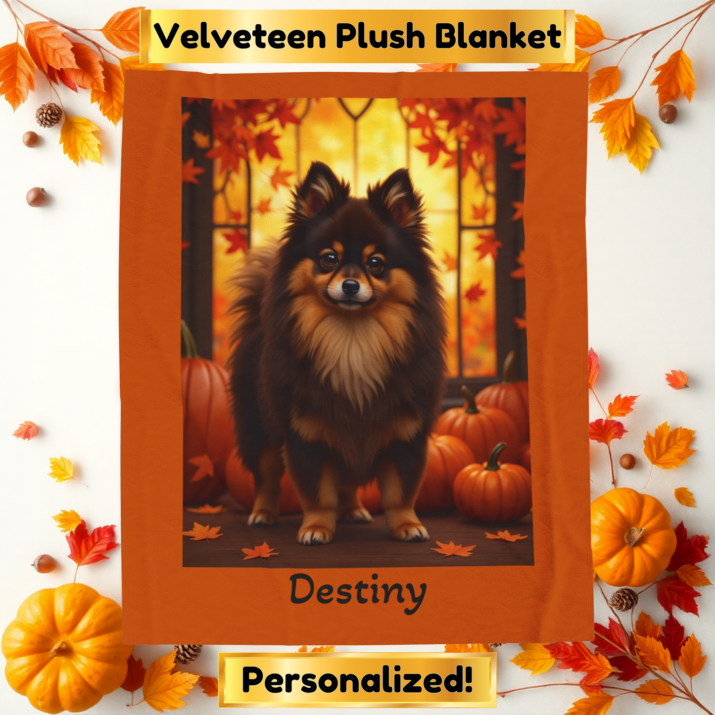 Chocolate and Tan Pomeranian velveteen plush blanket, cozy pet parent throw, dog lover blanket home accessory