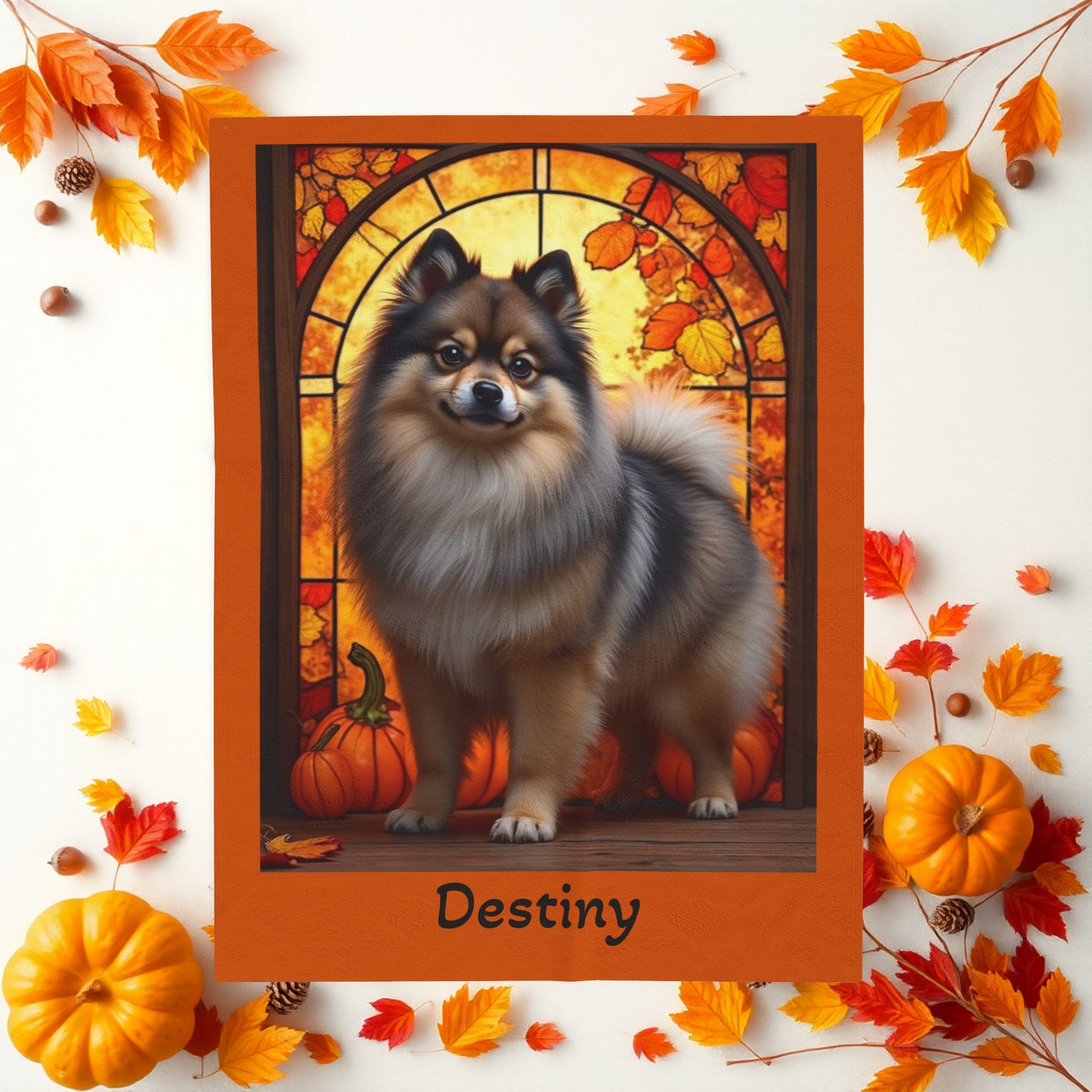 Pomeranian Wolf Sable Coat Velveteen Plush Blanket, Cozy Dog Mom Dad Plush Throw