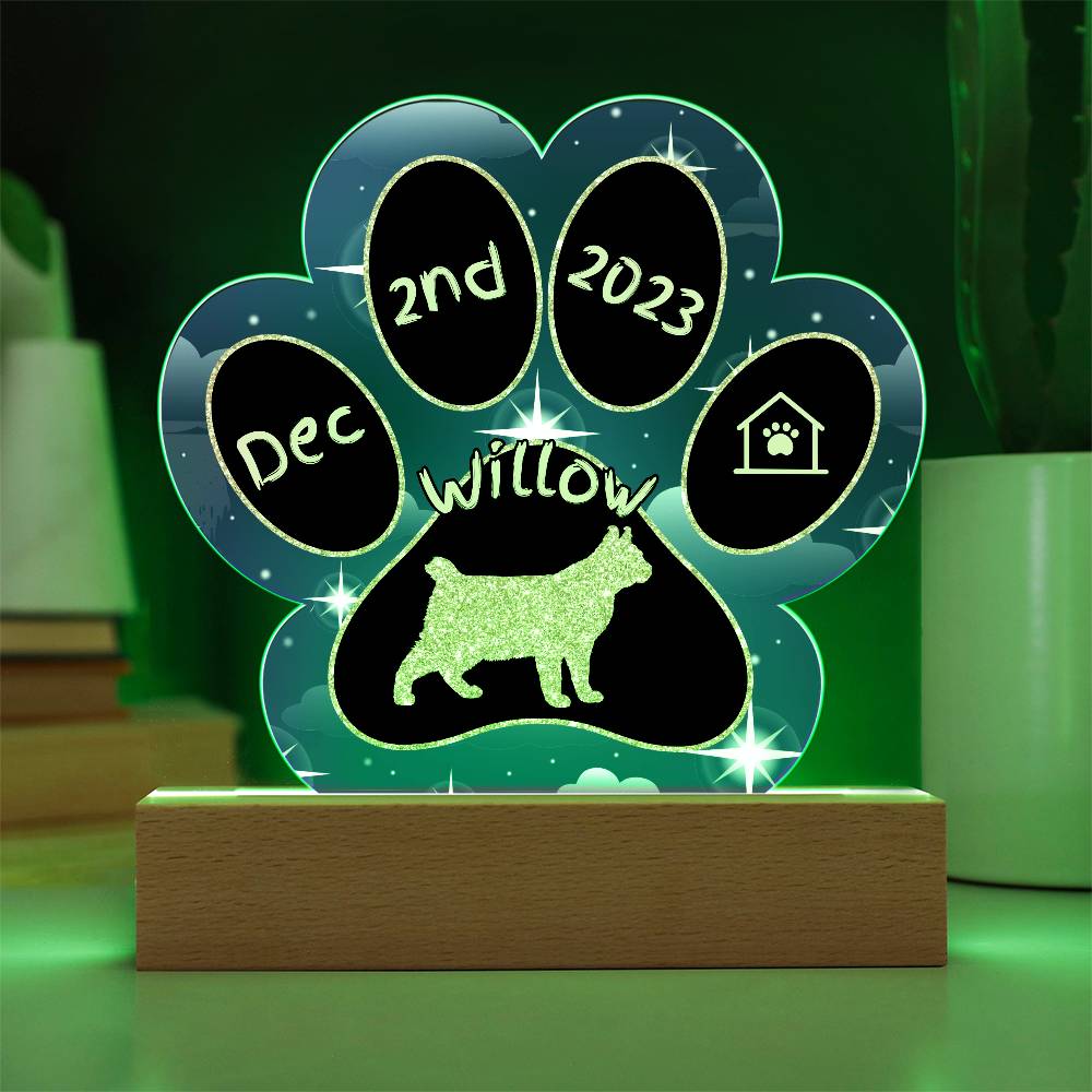 Highlander Cat Gotcha Day Plaque - Personalized 7" LED Acrylic Paw Print Welcome Home Gift