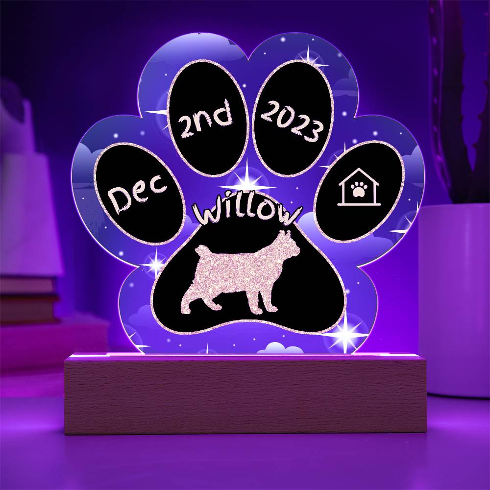 Highlander Cat Gotcha Day Plaque - Personalized 7" LED Acrylic Paw Print Welcome Home Gift