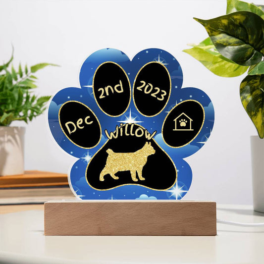Highlander Cat Gotcha Day Plaque - Personalized 7" LED Acrylic Paw Print Welcome Home Gift