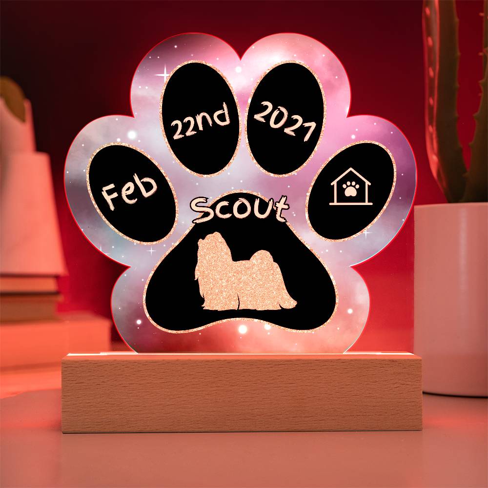7" Acrylic Paw Print Plaque - Maltese - Personalized Lap Dog Gift, Gotcha Day Sign for Fluffy White Dog Owners, Elegant Breed Decor