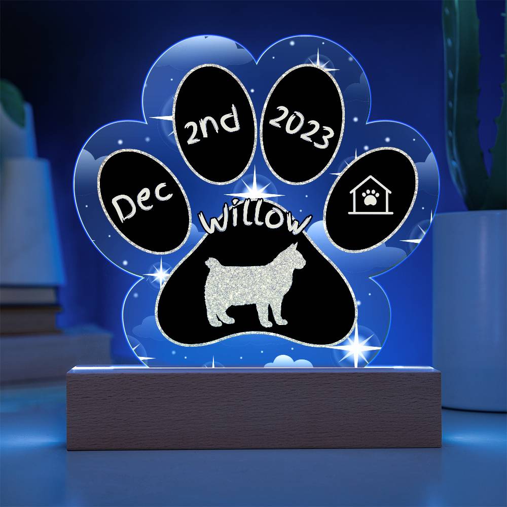 Pixiebob Cat Gotcha Day Plaque - Custom 7" LED Acrylic Paw Print Adoption Day Gift