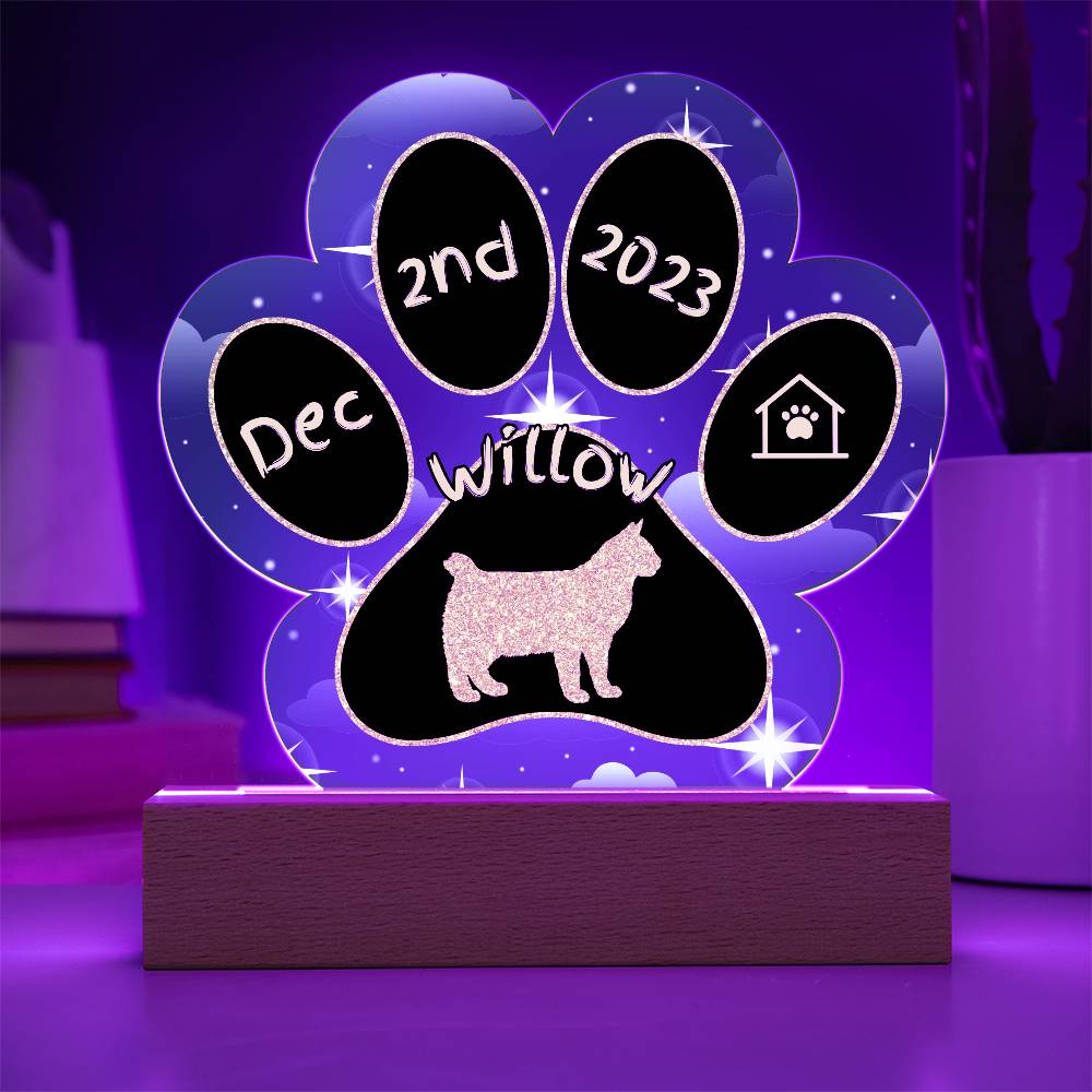 Pixiebob Cat Gotcha Day Plaque - Custom 7" LED Acrylic Paw Print Adoption Day Gift