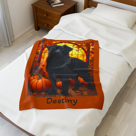 Shop our australian shepherd black velveteen plush blanket featuring the 50" × 60" style option from MySisterIsASurvivor.