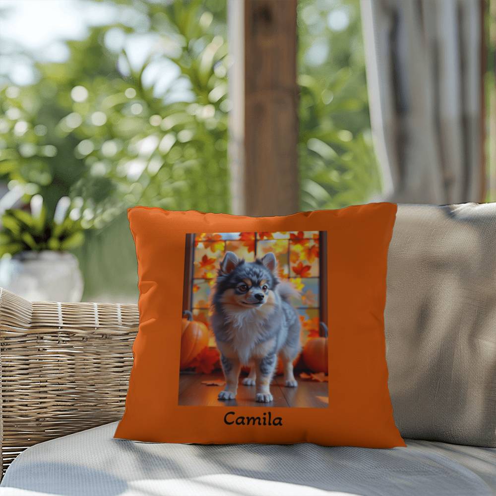 Blue Merle and Tan Pomeranian indoor outdoor pillow, personalized dog cushion, pet lover decor