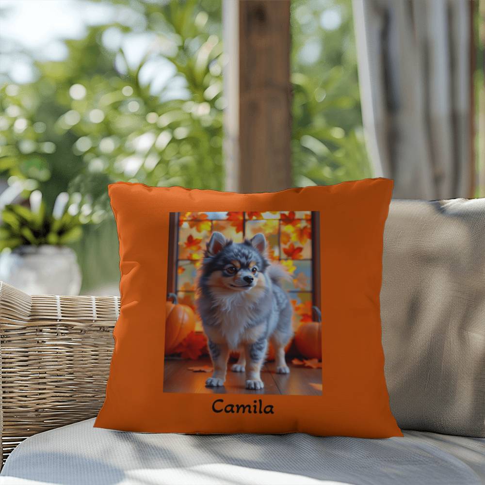 Blue Merle and Tan Pomeranian indoor outdoor pillow, personalized dog cushion, pet lover decor