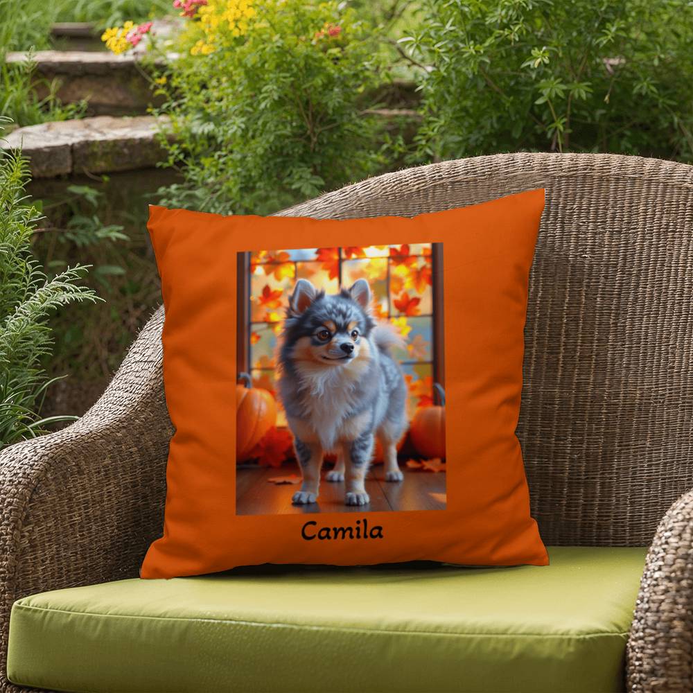 Blue Merle and Tan Pomeranian indoor outdoor pillow, personalized dog cushion, pet lover decor
