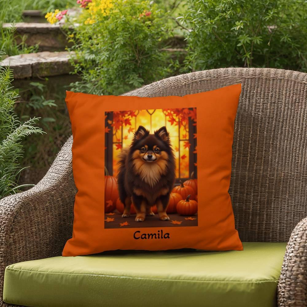 Shop our premium chocolate tan pomeranian indoor outdoor pillow from MySisterIsASurvivor.