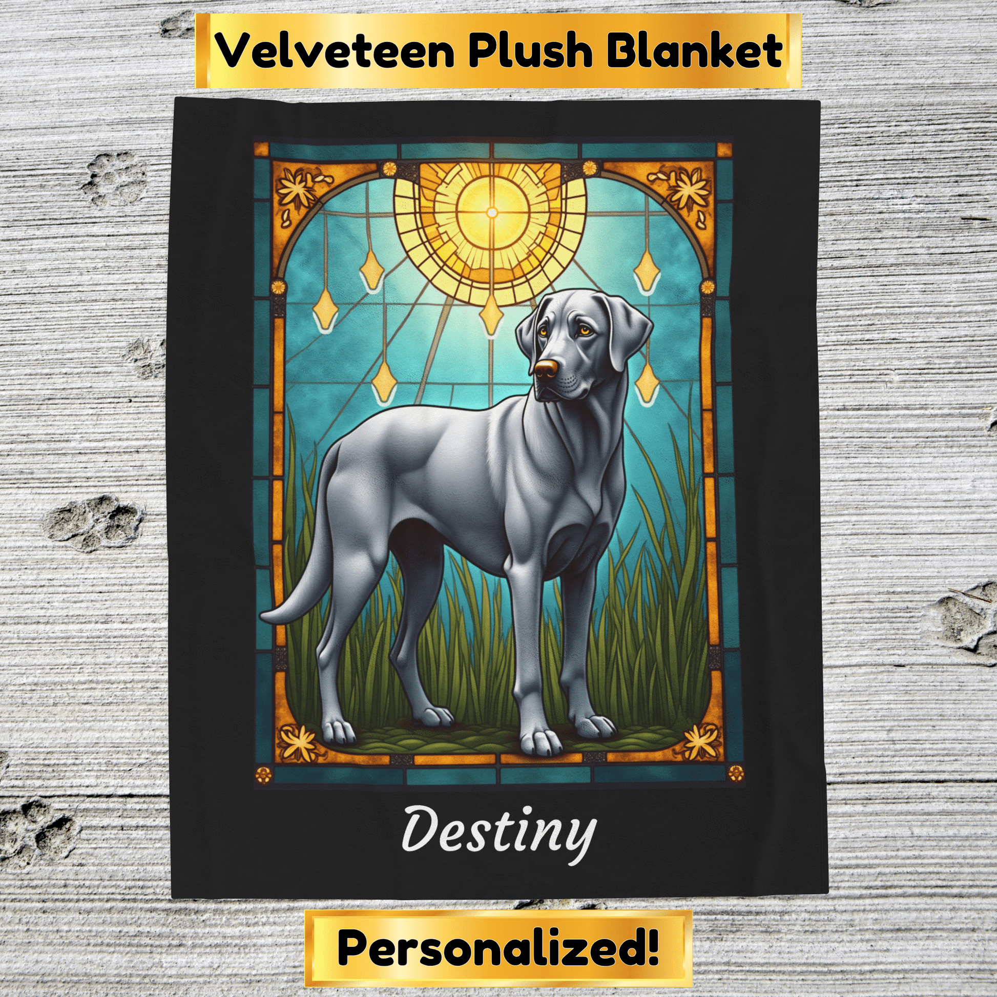 Labrador Retriever Silver Coat Blanket, Velveteen Plush Custom Dog Lover Throw, Personalized Gift