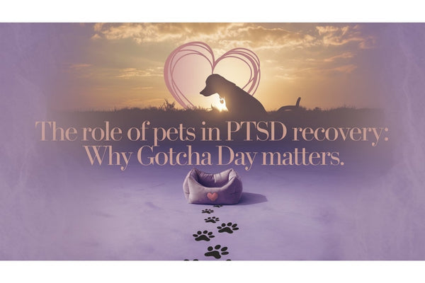 Person holding a dog, representing the healing bond between pets and survivors of trauma and PTSD