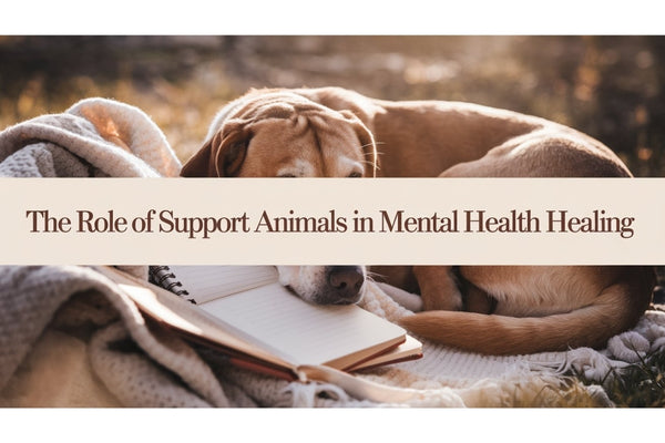 The Role of Support Animals in Mental Health Healing