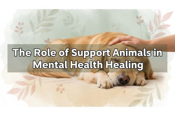 The Role of Support Animals in Mental Health Healing