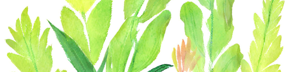 From Surviving to Thriving: The Role of Products in the Healing Journey
