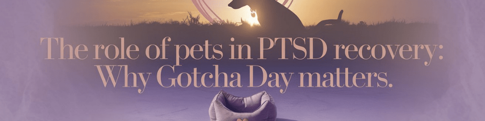 The Role of Pets in PTSD Recovery: Why Gotcha Day Matters - MySisterIsASurvivor