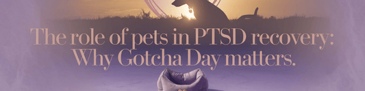 The Role of Pets in PTSD Recovery: Why Gotcha Day Matters - MySisterIsASurvivor