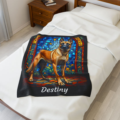 Belgian Malinois Fawn Coat Velveteen Blanket, Artistic Dog Throw, Custom Gift for Dog Owners