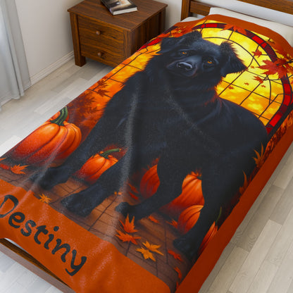 Australian Shepherd (Black) Velveteen Blanket - Custom Dog Art Throw for Herding Fans