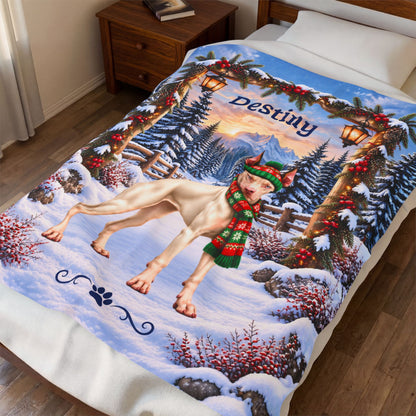 Doberman (White / Albino Coat) - Personalized Winter Blanket, Snowy Pine Velveteen Throw