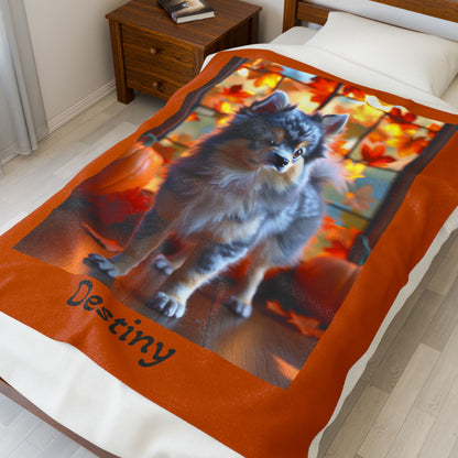 Blue Merle and Tan Pomeranian velveteen plush blanket, cozy dog throw blanket for pet owners and home decor