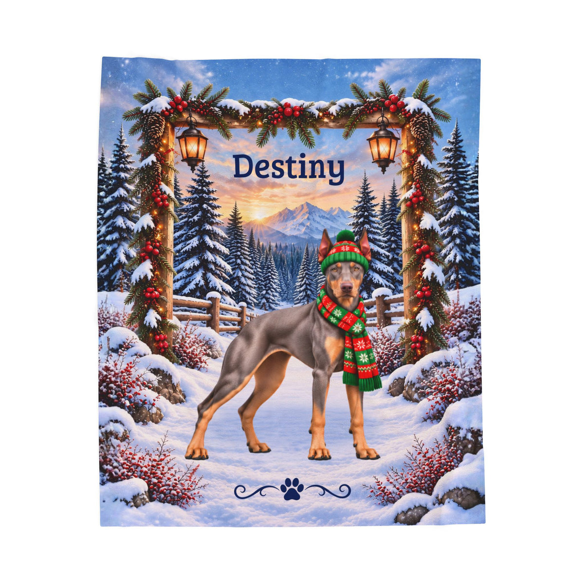 Doberman (Blue Fawn / Isabella Coat) - Personalized Winter Blanket, Velveteen Name Throw