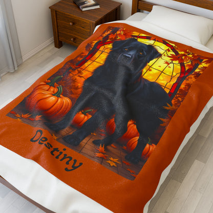 Australian Shepherd (Black) Velveteen Blanket - Custom Dog Art Throw for Herding Fans