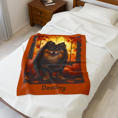 Chocolate and Tan Pomeranian velveteen plush blanket, cozy pet parent throw, dog lover blanket home accessory