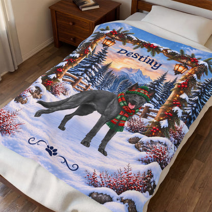 Belgian Malinois (Blue Slate Coat) - Custom Name Woodland Throw, Personalized Winter Dog Dad Blanket