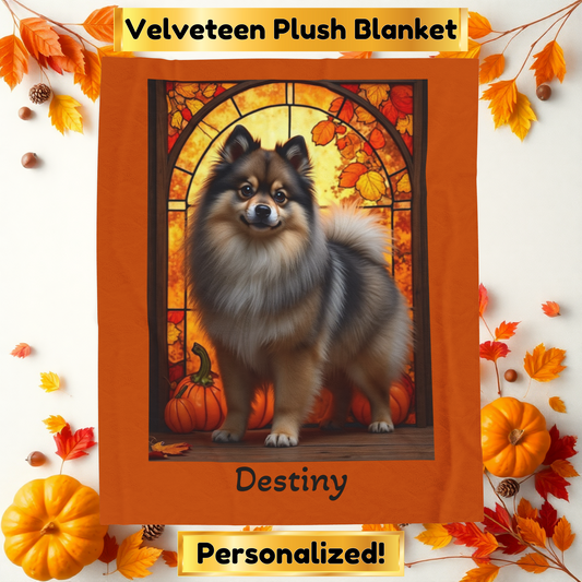Wolf Sable Pomeranian velveteen plush blanket, soft cozy dog lover throw for home decor and pet parent gifts