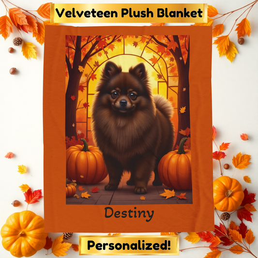 Chocolate Pomeranian velveteen plush blanket, soft throw for dog lovers, cozy home accent blanket gift idea