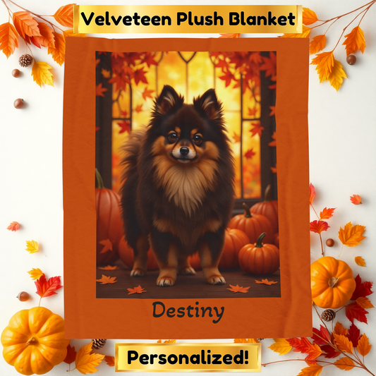 Chocolate and Tan Pomeranian velveteen plush blanket, cozy pet parent throw, dog lover blanket home accessory