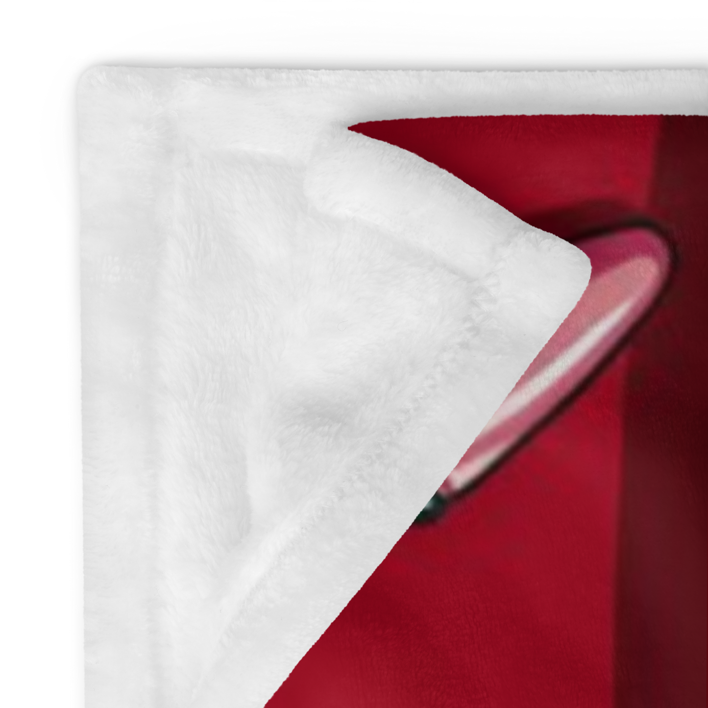 Funny Christmas blanket “Dear Santa, I Can Explain” holiday throw for cozy winter nights and laughs