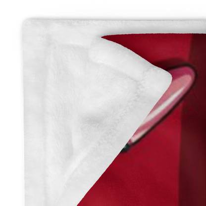 Funny Christmas blanket “Dear Santa, I Can Explain” holiday throw for cozy winter nights and laughs