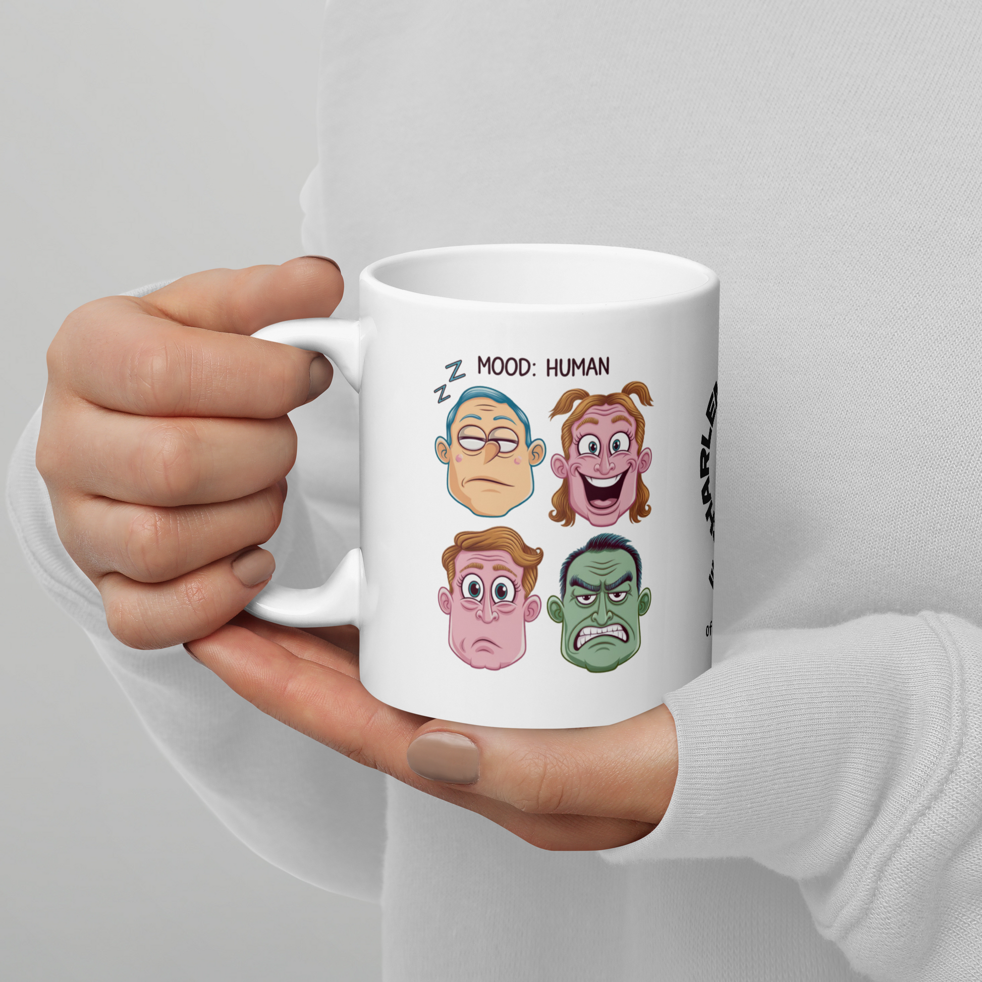 Mood: Human funny mug personalized ceramic coffee cup with fun daily humor saying, coffee gift