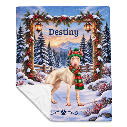 Doberman (White / Albino Coat) - Personalized Winter Blanket, Snowy Pine Velveteen Throw