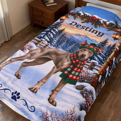 Doberman (Fawn-Isabella Coat) - Personalized Winter Blanket, Custom Name Velveteen Throw