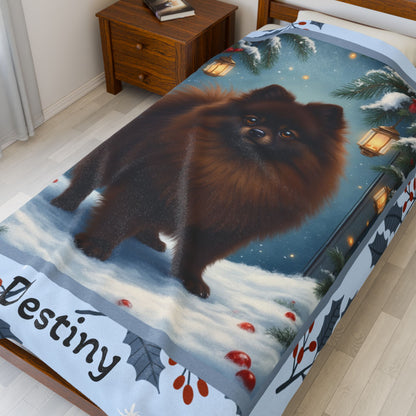 Pomeranian Chocolate custom winter blanket featuring a rich brown Pom in a bright winter lodge scene