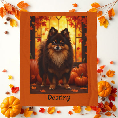 Chocolate and Tan Pomeranian velveteen plush blanket, cozy pet parent throw, dog lover blanket home accessory