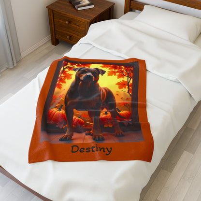 Chocolate and Tan Rottweiler velveteen plush blanket, personalized dog throw for Rottweiler owners - MySisterIsASurvivor