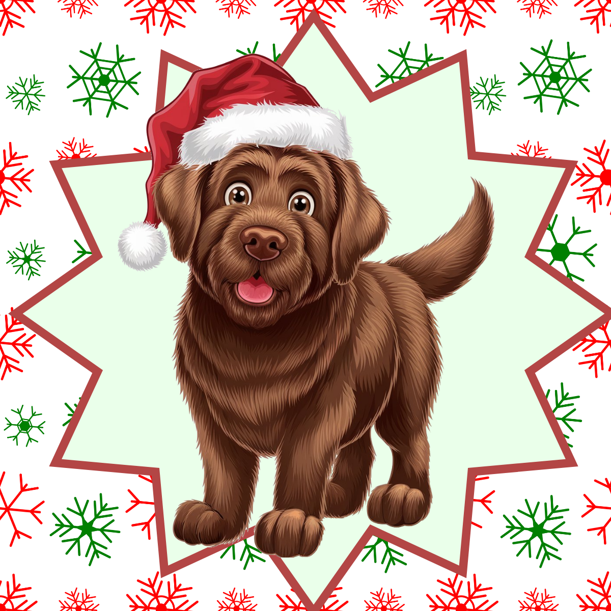 Labrador Retriever (Chocolate) Personalized Velveteen Plush Blanket - "Bark The Halls" | Cozy Holiday Gift for Dog Lovers