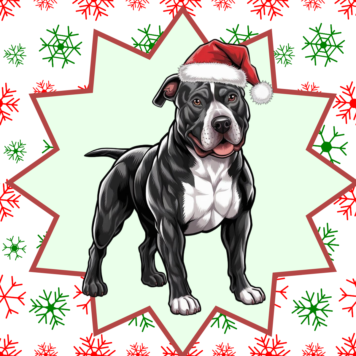 Pitbull (Black & White) Personalized Velveteen Plush Blanket - "Bark The Halls" | Cozy Holiday Gift for Dog Lovers
