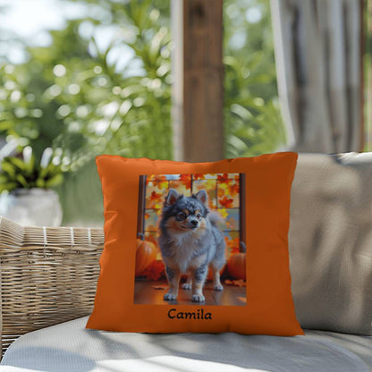 Blue Merle and Tan Pomeranian indoor outdoor pillow, personalized dog cushion, pet lover decor