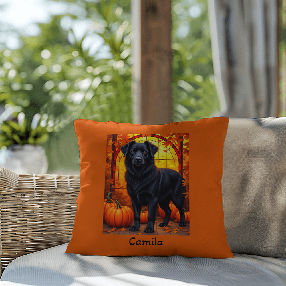 Australian Shepherd Black Coat Pillow, Custom Indoor Outdoor Dog Cushion for Herding Dog Lovers