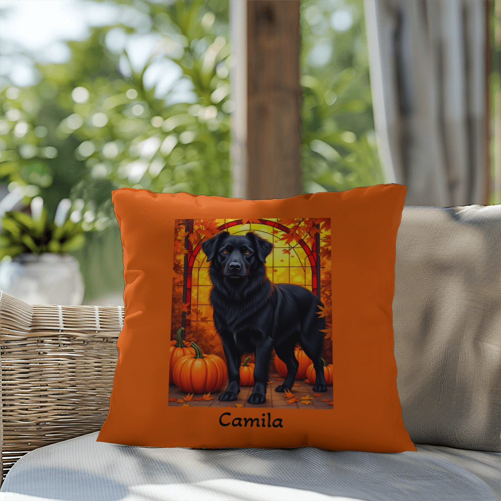 Australian Shepherd Black Coat Pillow, Custom Indoor Outdoor Dog Cushion for Herding Dog Lovers