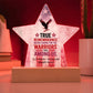 True Remembrance Star Plaque, Memorial Day Military Tribute & PTSD Support - MySisterIsASurvivor